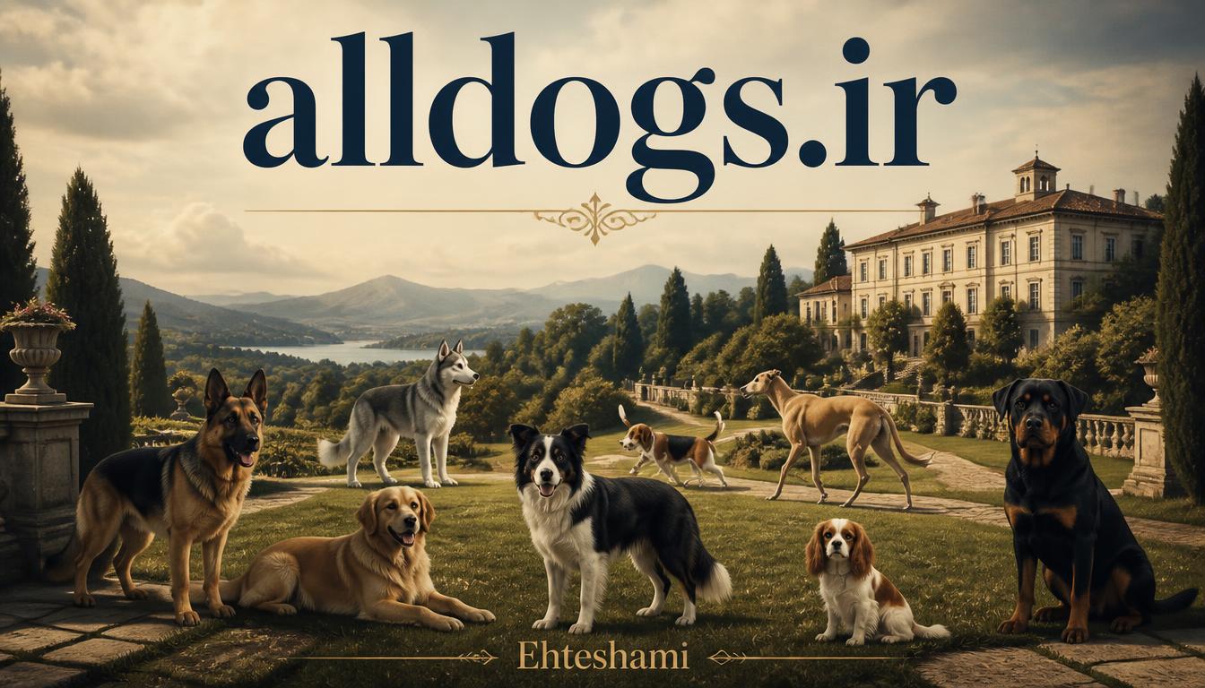 alldogs.ir