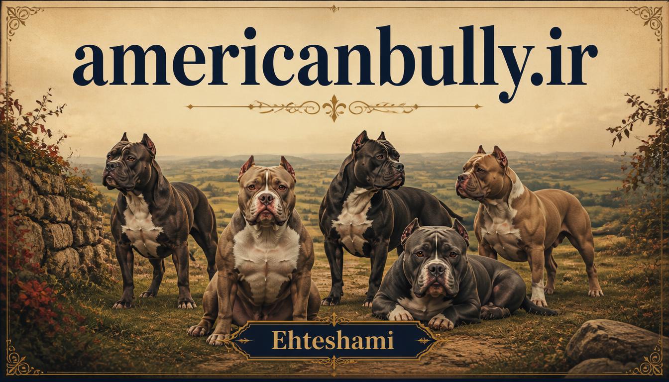 americanbully.ir