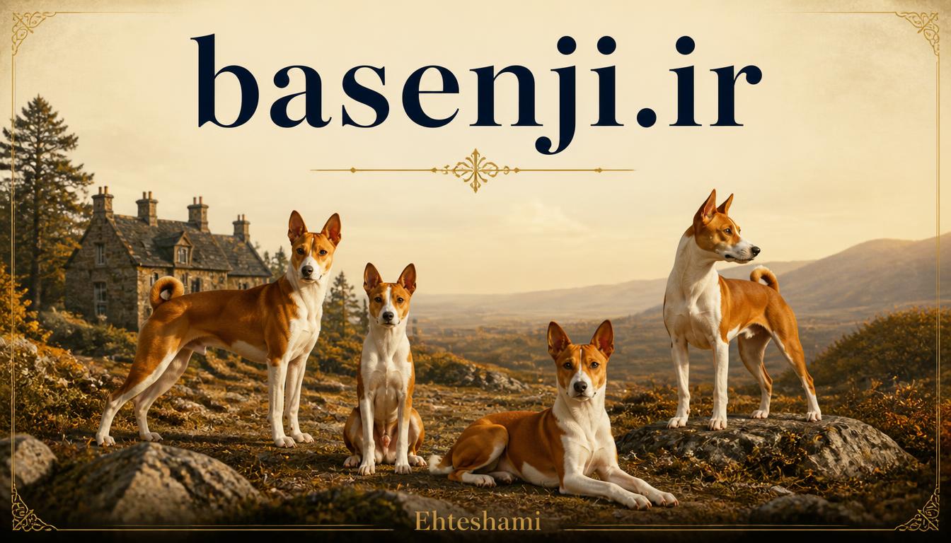 basenji.ir