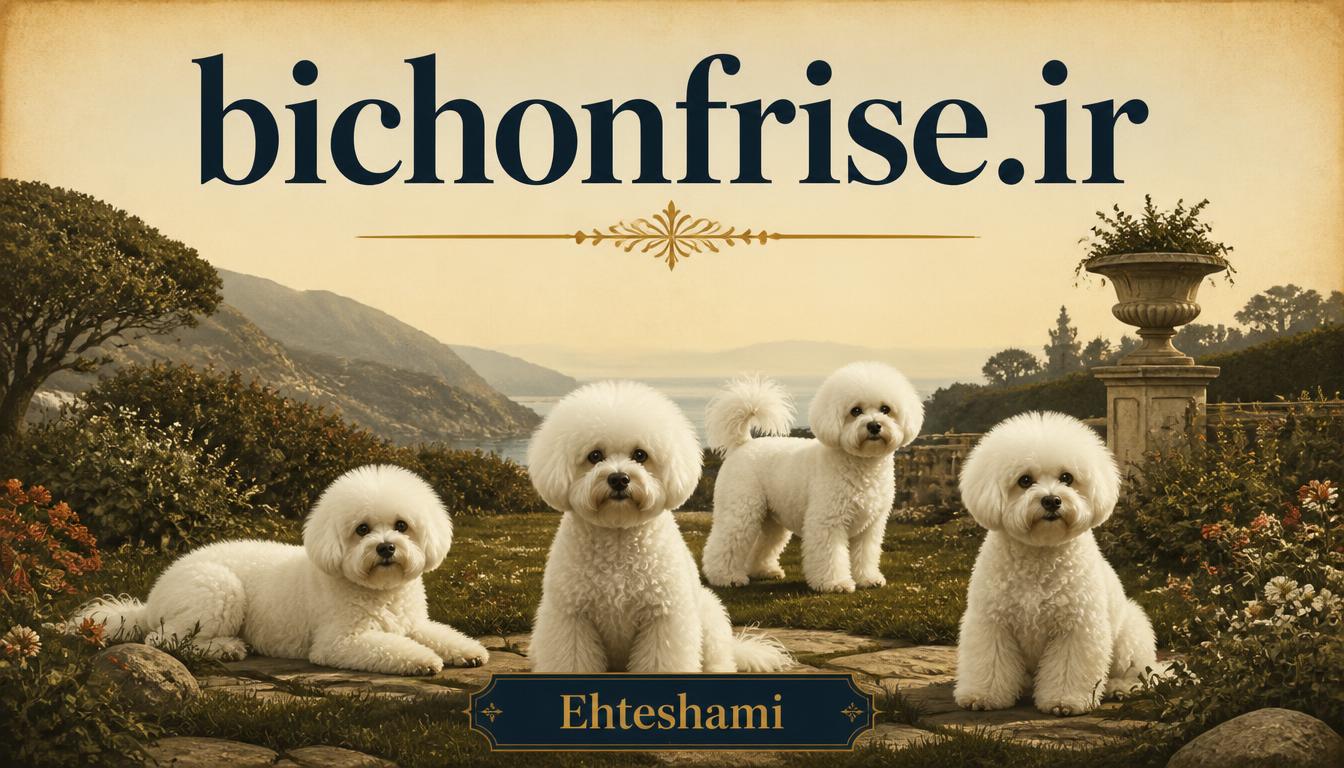 bichonfrise.ir