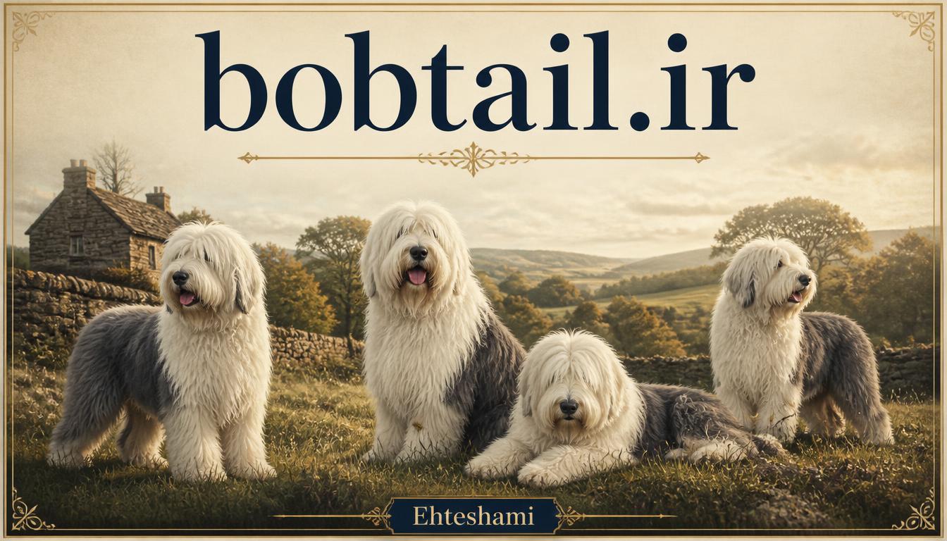 bobtail.ir