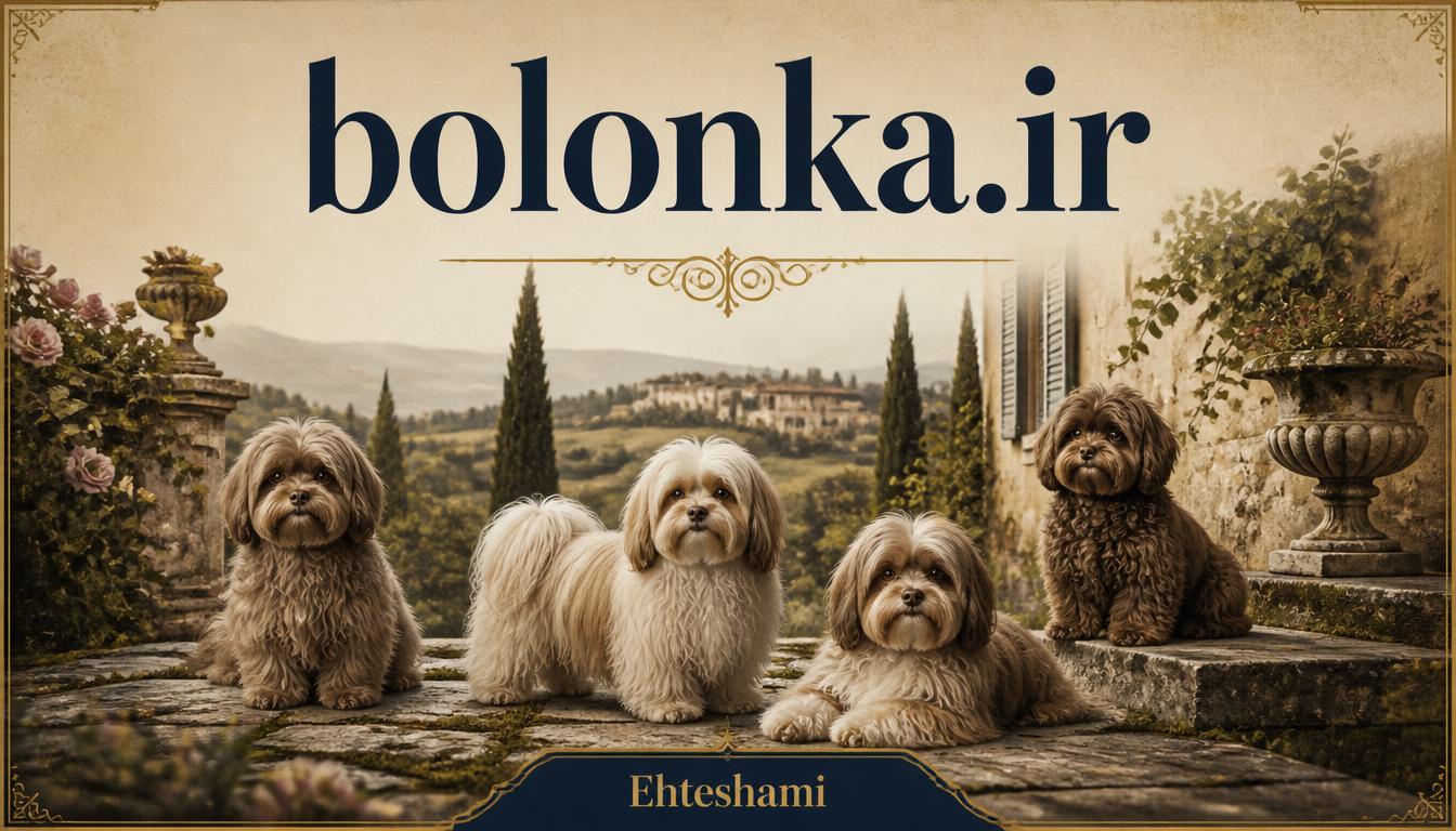 bolonka.ir