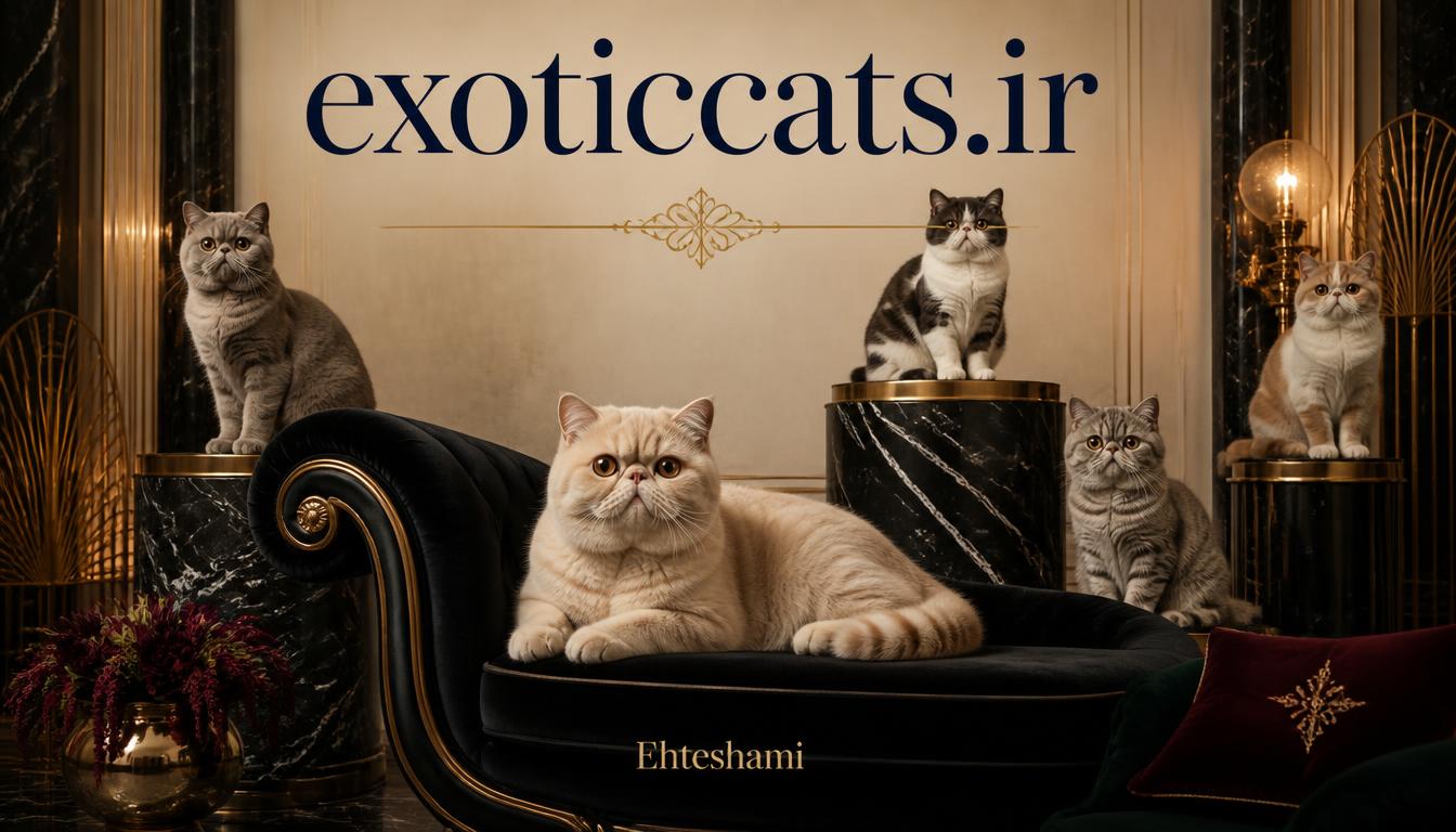 exoticcats.ir