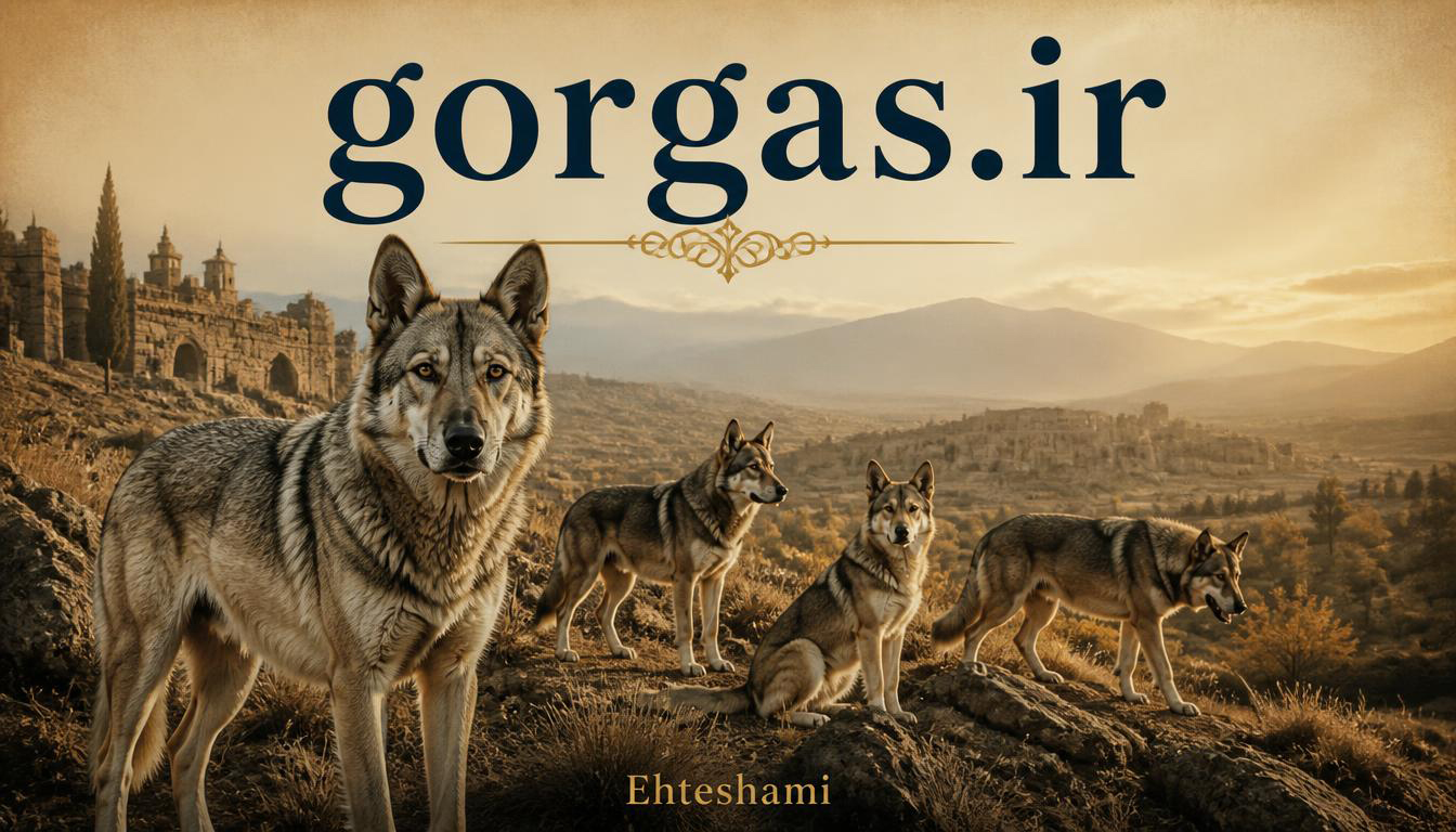 gorgas.ir