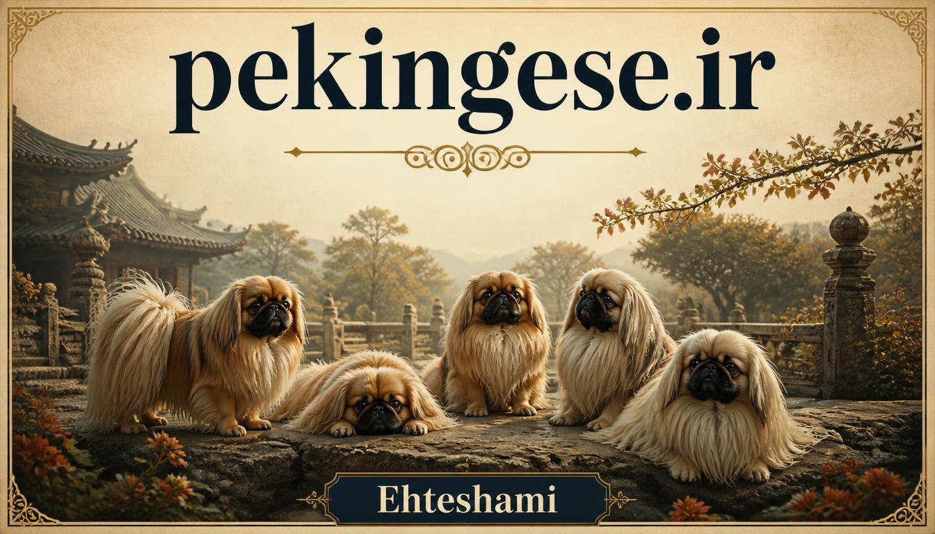 pekingese.ir