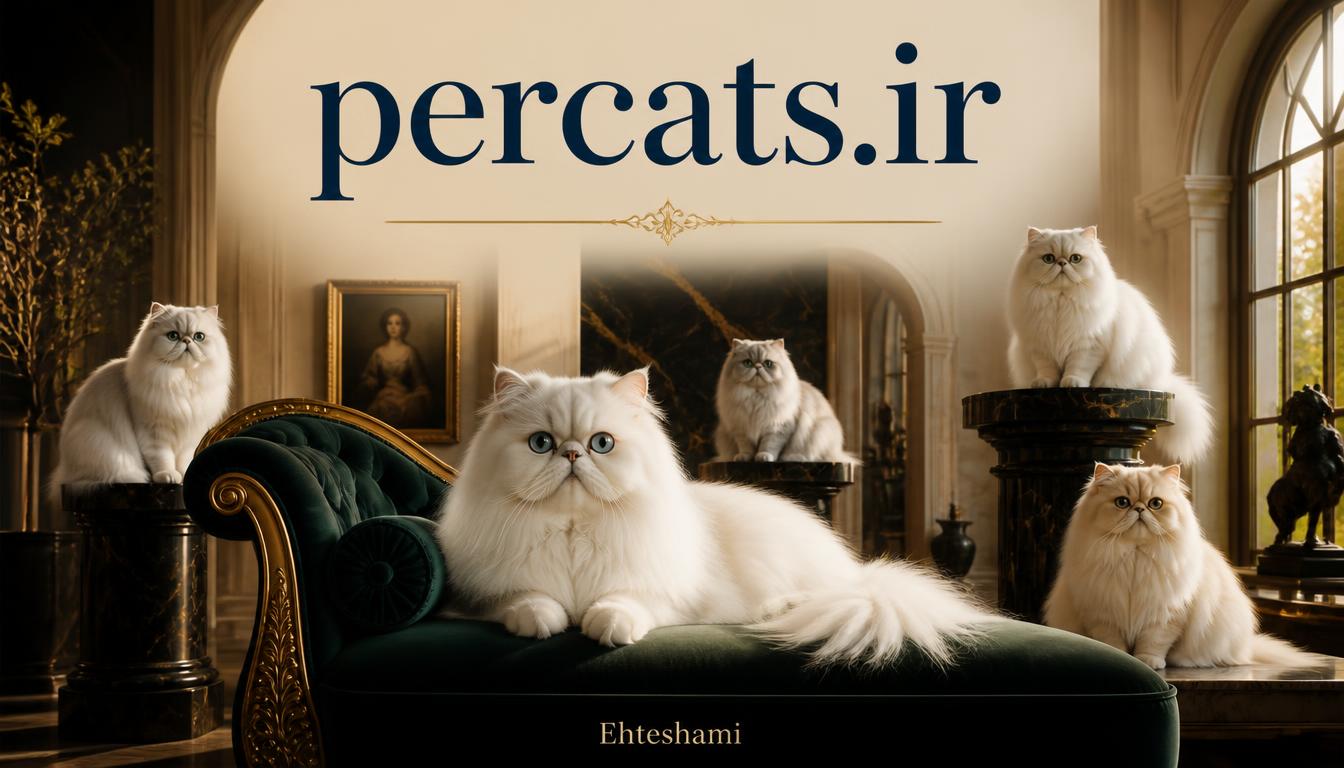 percats.ir