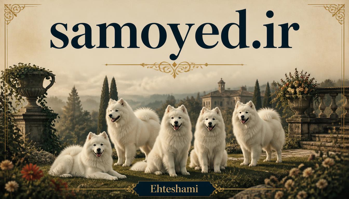 samoyed.ir