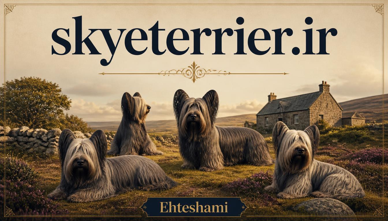 skyeterrier.ir